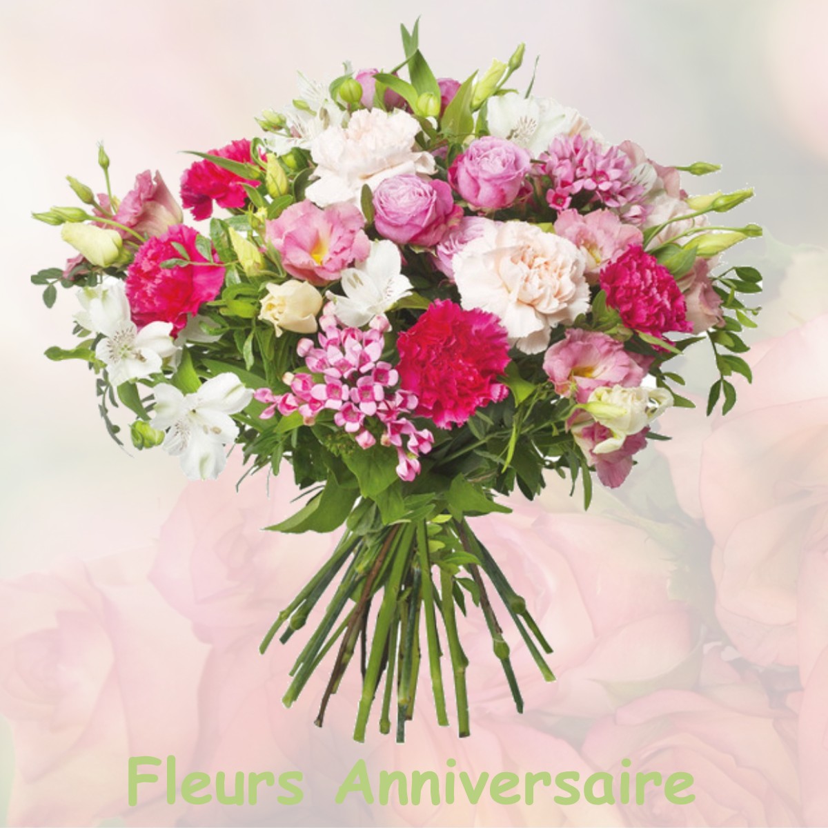 fleurs anniversaire AIXE-SUR-VIENNE